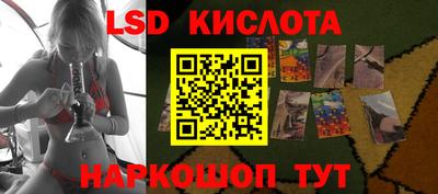 прущие грибы Дубна