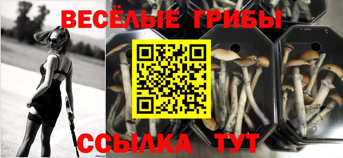 Псилоцибиновые грибы прущие грибы  где купить наркоту  Назарово  Вход с VPN 